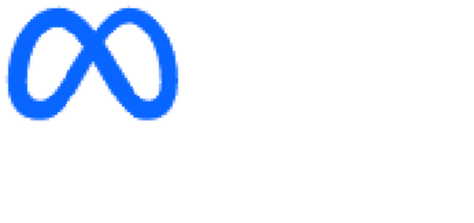 Meta Business Partner